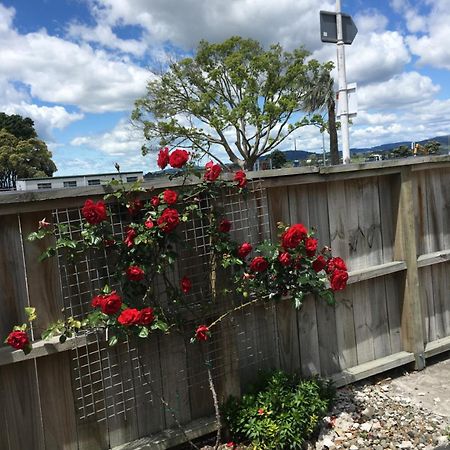 Strand Motel Tauranga Exteriör bild